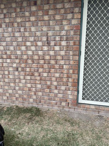 668063F2-7AAC-4AC2-AA3D-E3C98F73077A.jpeg 668063F2-7AAC-4AC2-AA3D-E3C98F73077A.jpeg