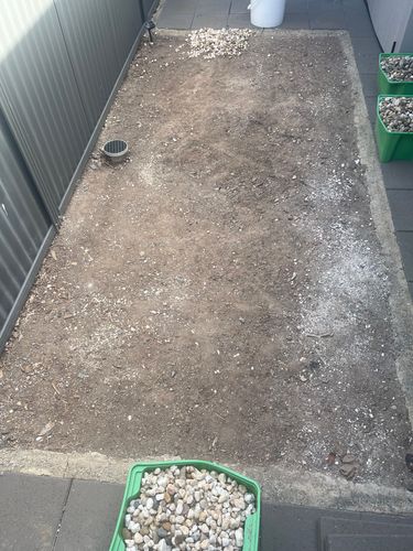 IMG_3536.jpeg IMG_3536.jpeg