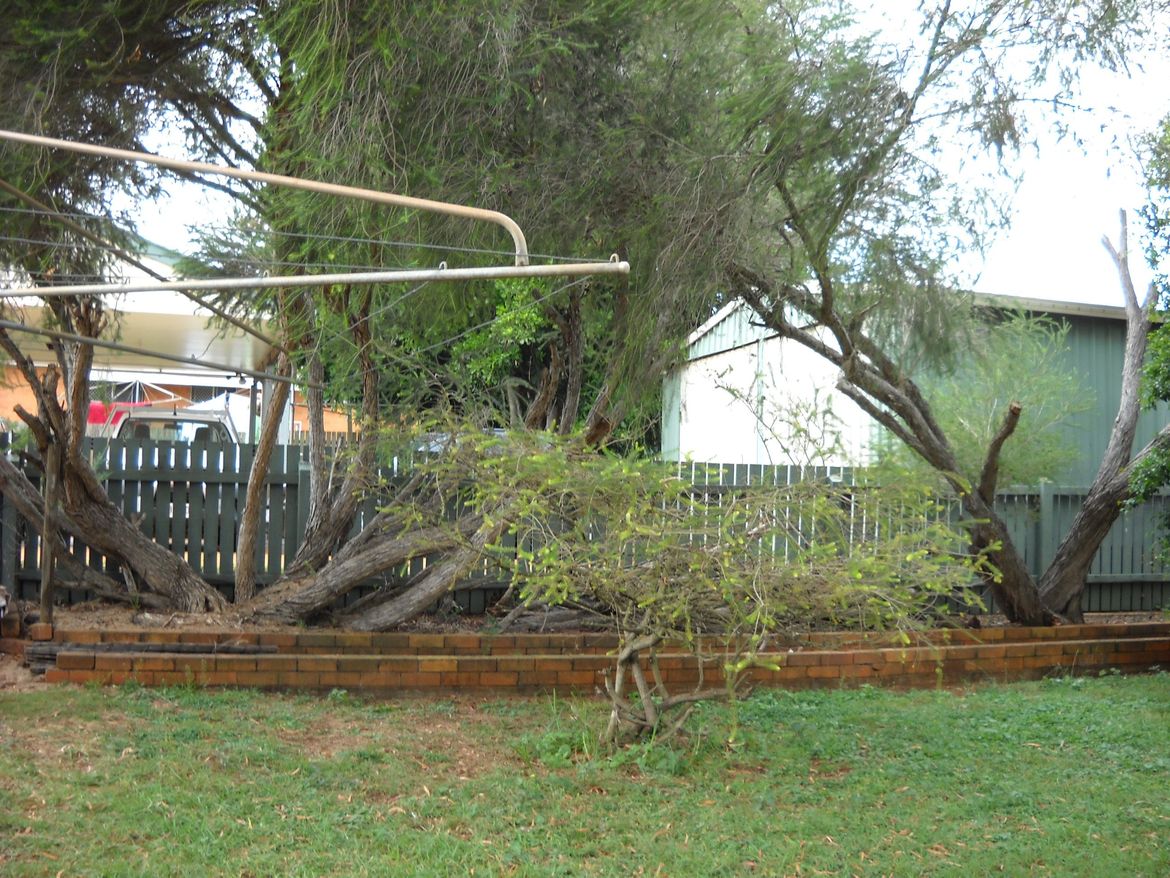 DSCN2105.jpg DSCN2105.jpg