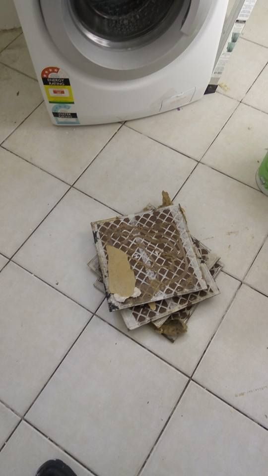 35 17-05-2018.jpg 35 17-05-2018.jpg