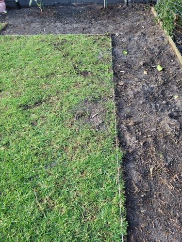 20221006_182559.jpg 20221006_182559.jpg