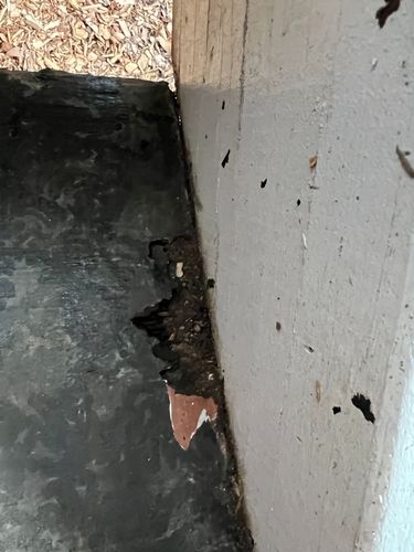 0348A755-930B-422B-AF4F-9F4E0518230C.jpeg 0348A755-930B-422B-AF4F-9F4E0518230C.jpeg