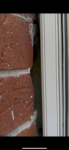 IMG_5693.png IMG_5693.png