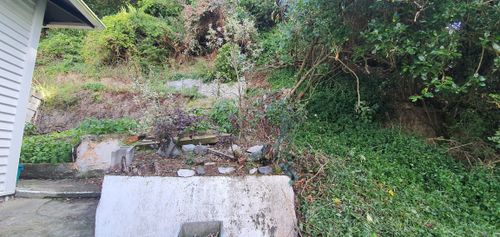 19700101_120000_8237864544302811966.jpg 19700101_120000_8237864544302811966.jpg