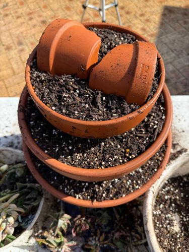 IMG_1244.jpeg IMG_1244.jpeg