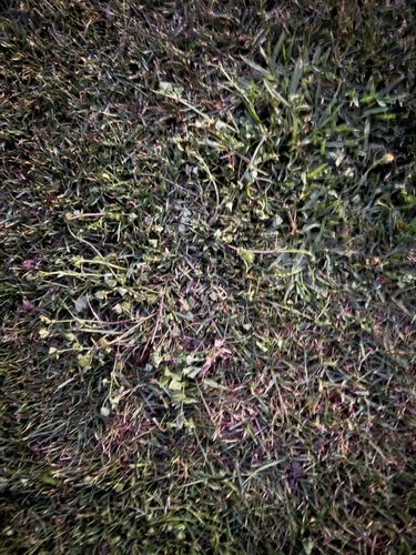 IMG_7919.jpeg IMG_7919.jpeg