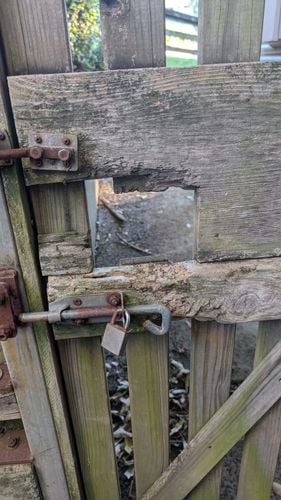 1000006237.jpg 1000006237.jpg