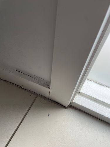 IMG-3641.JPG IMG-3641.JPG