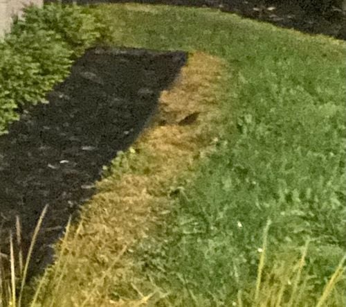 F3A8967A-2D52-48D8-A8C2-6862CF4F3F17.jpeg F3A8967A-2D52-48D8-A8C2-6862CF4F3F17.jpeg