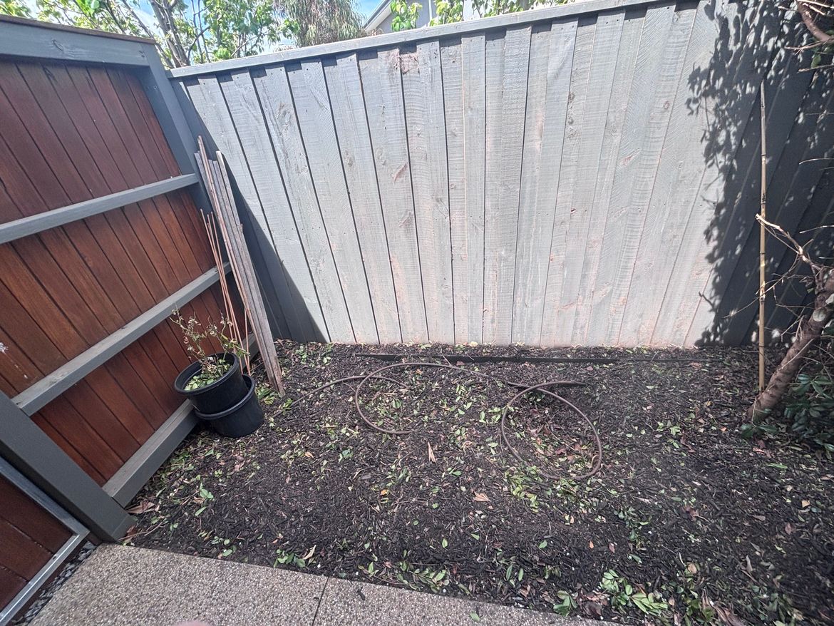 IMG_4160.jpeg IMG_4160.jpeg