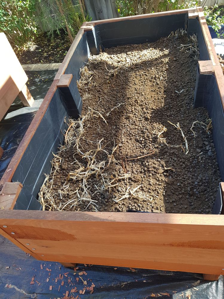 20200511_120421.jpg 20200511_120421.jpg