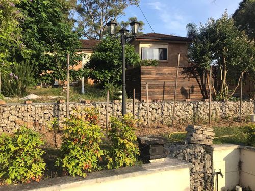 13 23-11-2024.jpg 13 23-11-2024.jpg