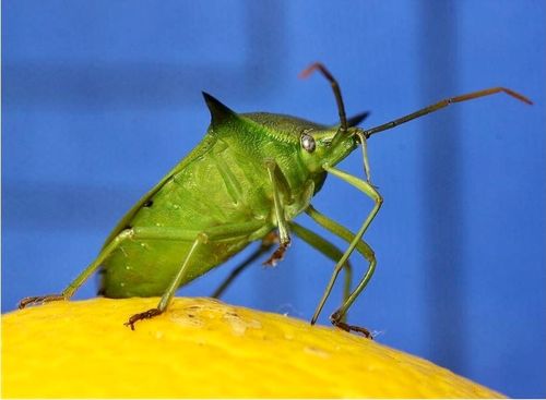 29AD6FBF-212E-490C-B755-8F0314E1605C.jpeg 29AD6FBF-212E-490C-B755-8F0314E1605C.jpeg