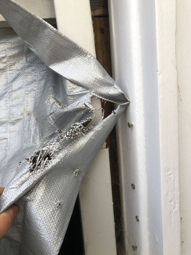 BEF7418F-9B21-4D5A-9D6E-043EA481E0D8.jpeg BEF7418F-9B21-4D5A-9D6E-043EA481E0D8.jpeg