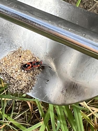 unnamed (1).jpg unnamed (1).jpg