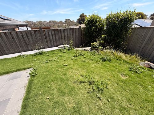 IMG_9392.jpeg IMG_9392.jpeg