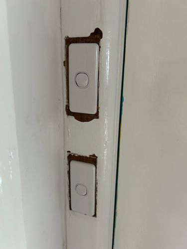 IMG_2736.jpeg IMG_2736.jpeg