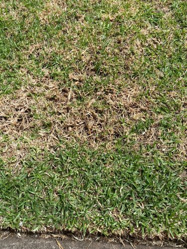 IMG_9272.jpeg IMG_9272.jpeg