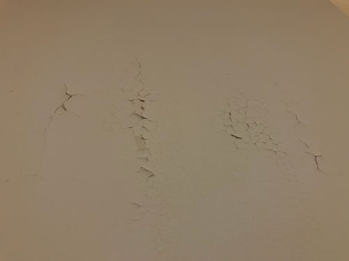 IMG_4527.jpeg IMG_4527.jpeg