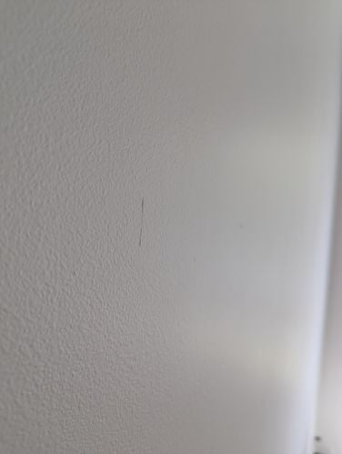 PXL_20250730_234400337.jpg PXL_20250730_234400337.jpg