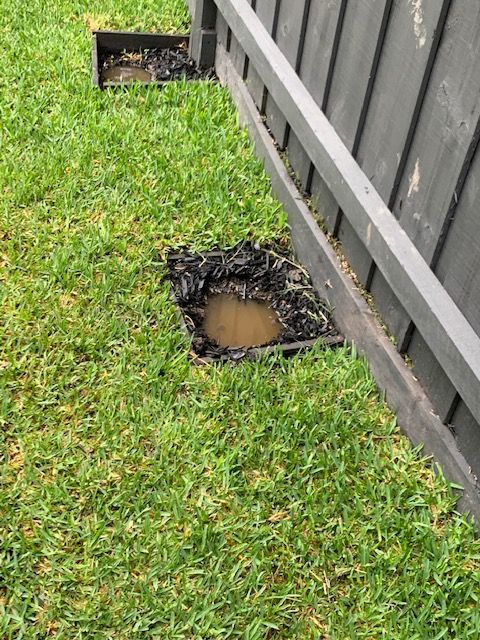 IMG_6953.jpg IMG_6953.jpg