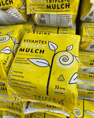 67493373-DC42-4B1D-9C8C-F65FFF823C0D.jpeg 67493373-DC42-4B1D-9C8C-F65FFF823C0D.jpeg