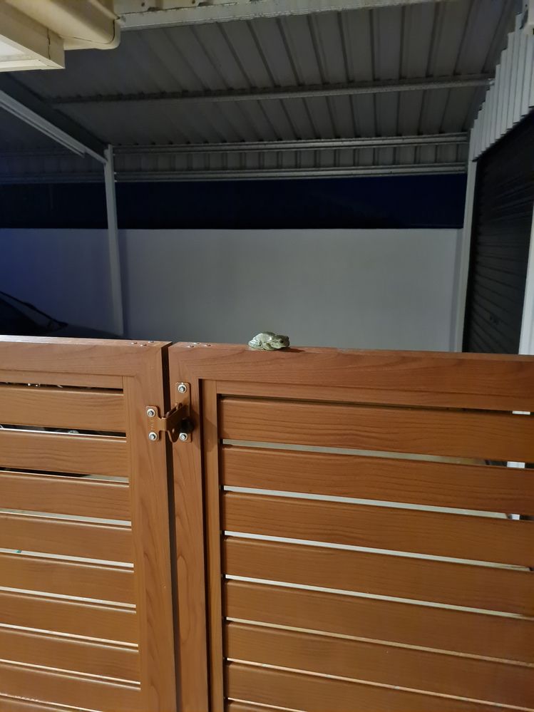 1000006153.jpg 1000006153.jpg