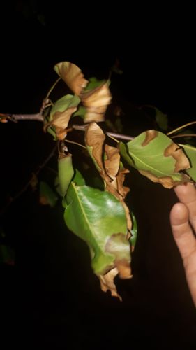 20201217_211011.jpg 20201217_211011.jpg