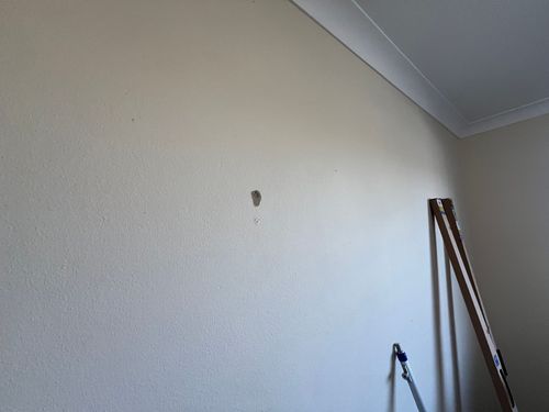 IMG_5398.jpeg IMG_5398.jpeg