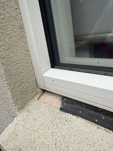 IMG_6461.jpeg IMG_6461.jpeg