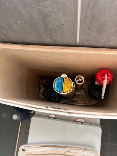 IMG_5190.jpeg IMG_5190.jpeg