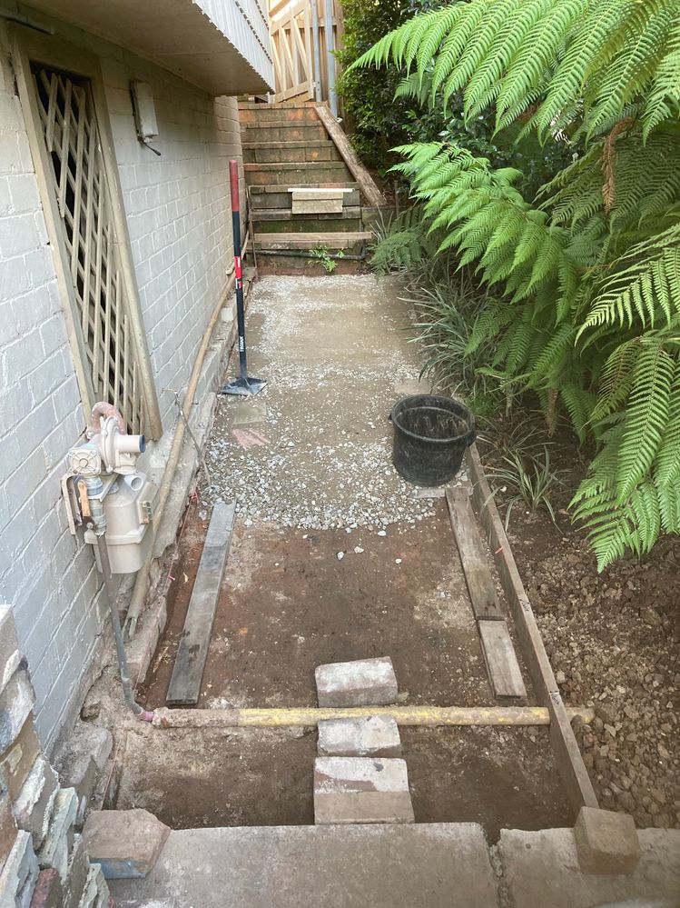 IMG_6782.jpeg IMG_6782.jpeg