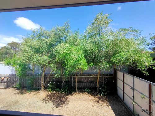 IMG20241103113335.jpg IMG20241103113335.jpg