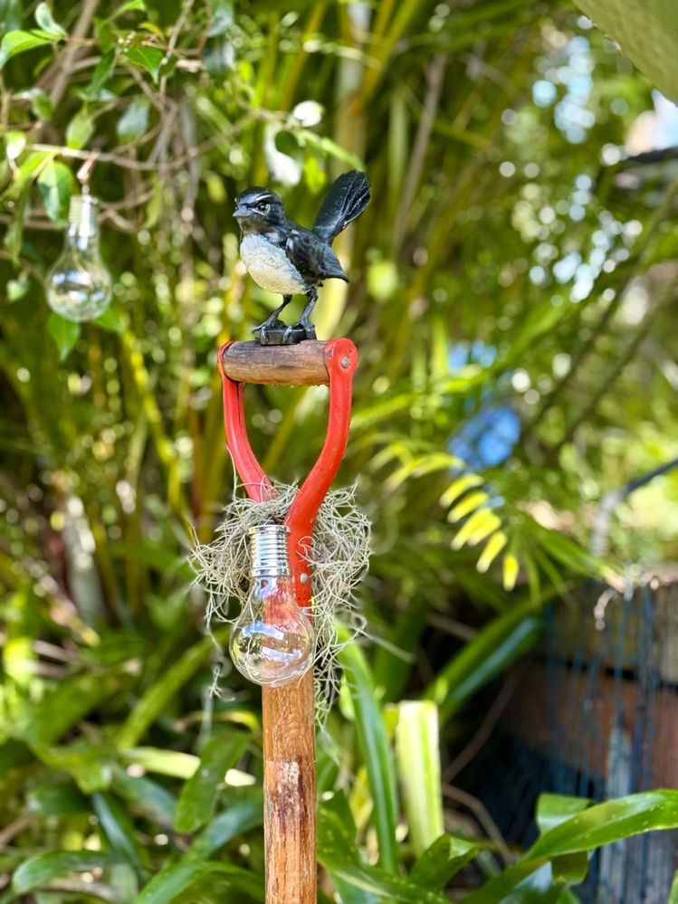 626a9452-59f7-468f-bc8b-ec2eb3dd2789.jpg 626a9452-59f7-468f-bc8b-ec2eb3dd2789.jpg