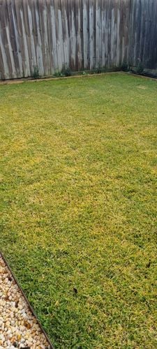 1000066239.jpg 1000066239.jpg