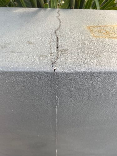 IMG_6668.jpeg IMG_6668.jpeg