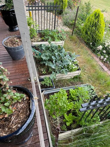 F7866991-11C3-497A-9500-73632D8A7A51.jpeg F7866991-11C3-497A-9500-73632D8A7A51.jpeg