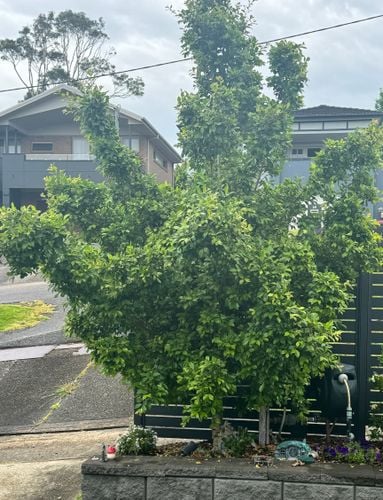 IMG_7880.jpeg IMG_7880.jpeg