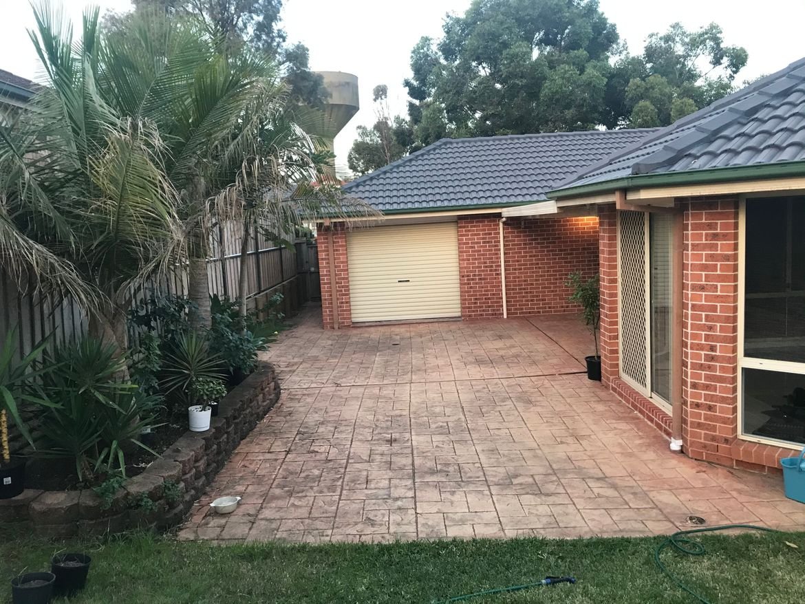 IMG-3101.jpg IMG-3101.jpg