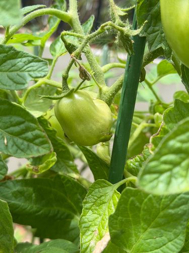 IMG_2035.jpeg IMG_2035.jpeg