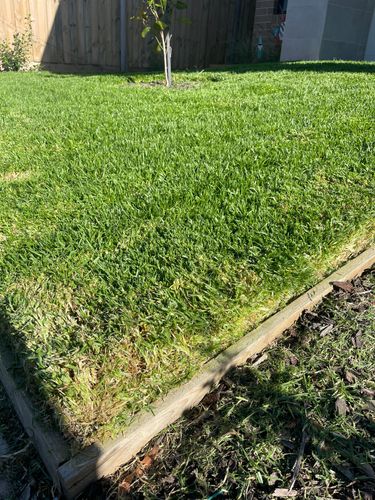 IMG_1212.jpeg IMG_1212.jpeg