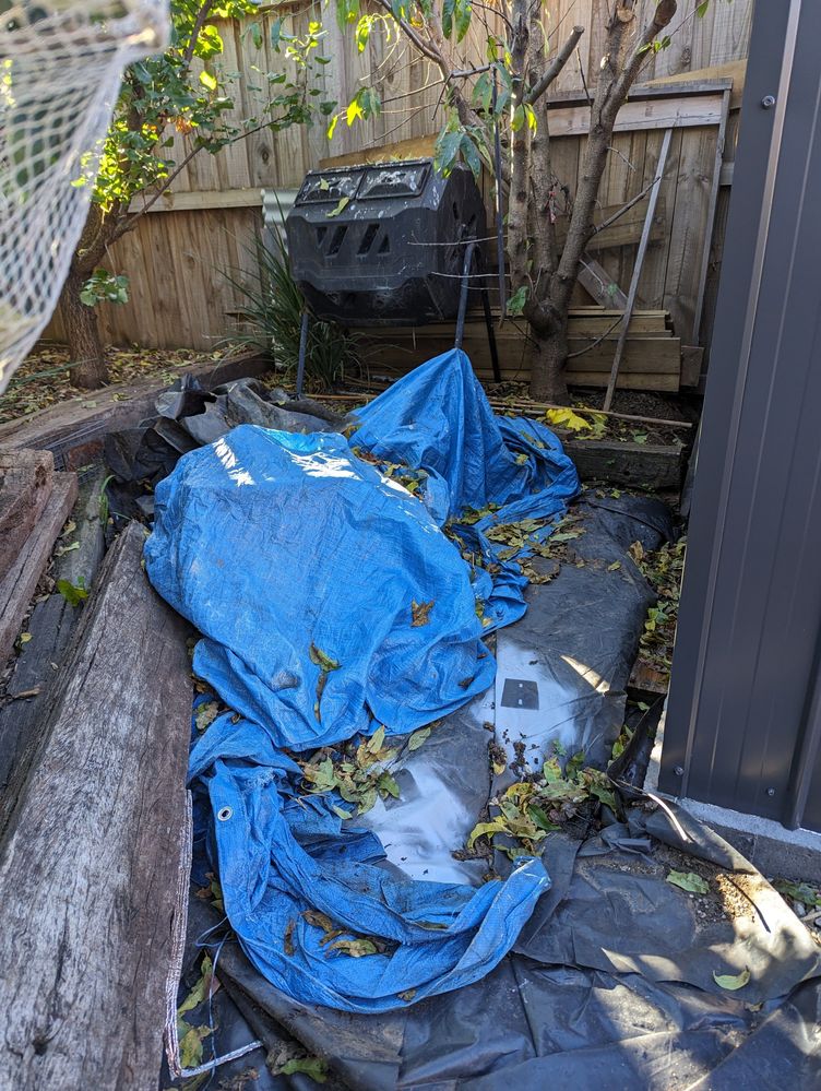 PXL_20240516_000101297.jpg PXL_20240516_000101297.jpg