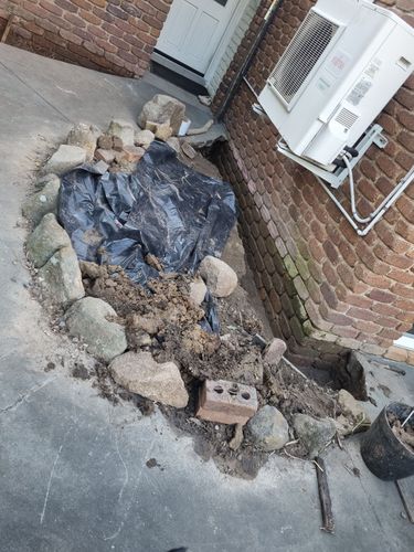 1000011994.jpg 1000011994.jpg