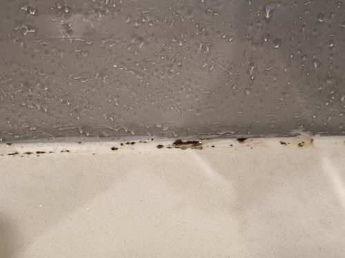 20230312_213419.jpg 20230312_213419.jpg