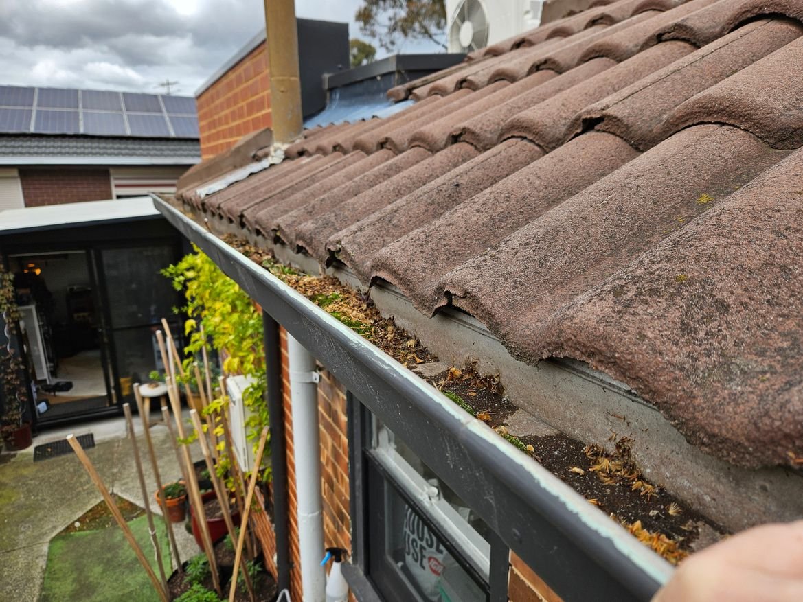 20241008_140112.jpg 20241008_140112.jpg