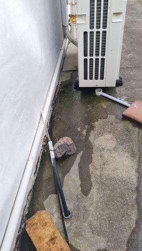 1000079412.jpg 1000079412.jpg