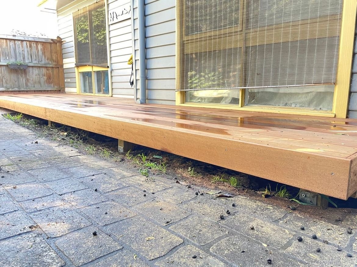 IMG_0332 2 Large.jpeg IMG_0332 2 Large.jpeg