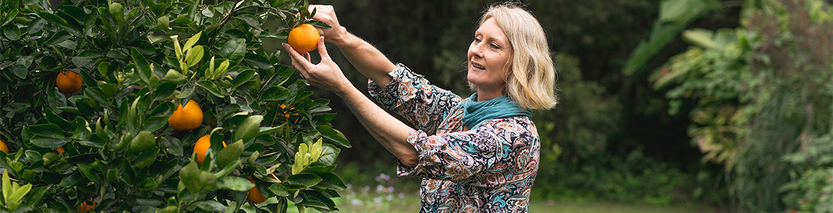 CathM9.png CathM9.png