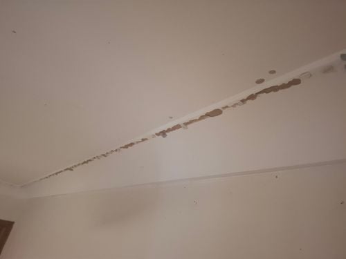 1000005371.jpg 1000005371.jpg