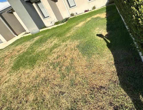 IMG_4528.jpeg IMG_4528.jpeg